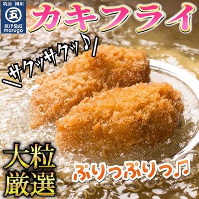 【発送月固定定期便】サクサクッ!国産大粒カキフライ20粒(約500g)(岡垣町)全6回【配送不可地域:離島】【4002956】福岡県岡垣町74000魚介・海産物貝類