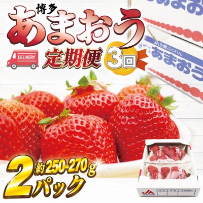 【発送月固定定期便】博多あまおう(250g-270g)×2P (岡垣町)全3回【配送不可地域:離島・北海道・沖縄】【4067758】福岡県岡垣町22500果物・フルーツいちご