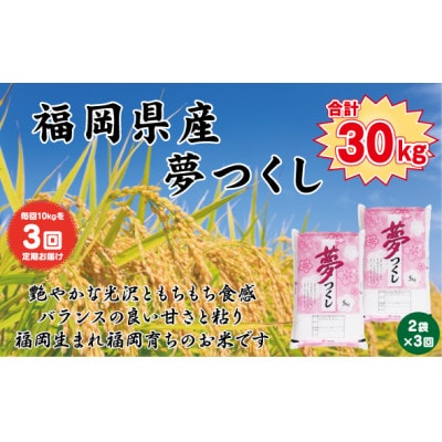【発送月固定定期便】【食味鑑定士厳選】福岡県産 夢つくし10kg(5kg×2袋)(岡垣町)全3回【4072916】福岡県岡垣町90000米・パン白米