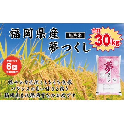 【毎月定期便】《無洗米》【食味鑑定士厳選】福岡県産 夢つくし5kg(5kg×1袋)(岡垣町)全6回【4074355】福岡県岡垣町96000米・パン無洗米