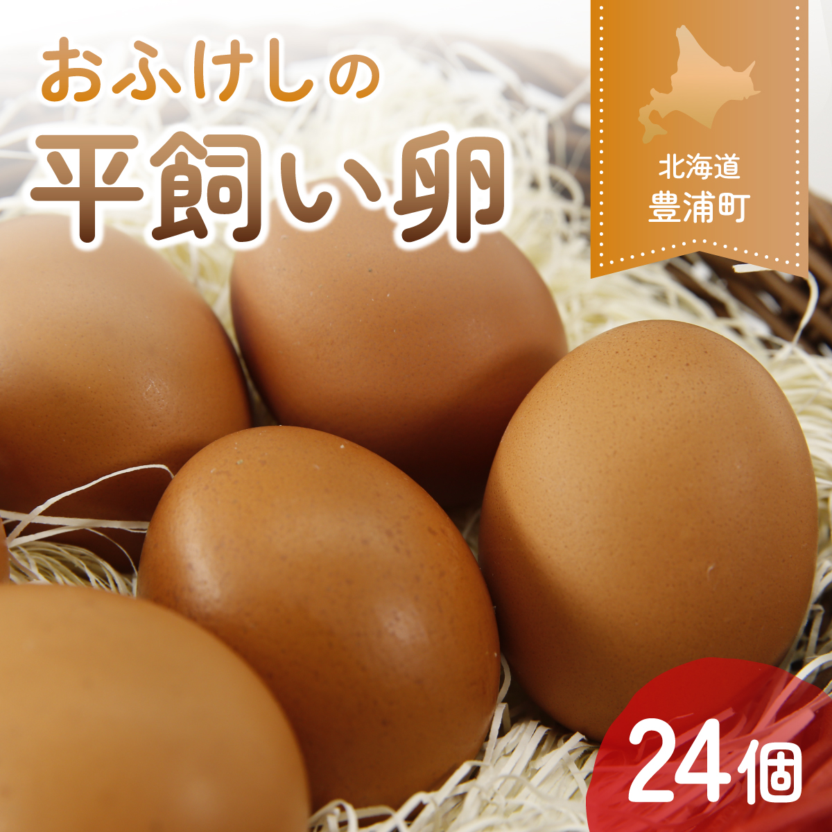 北海道 豊浦 おふけしの平飼い卵 24個 TYUZ001北海道豊浦町10500卵・乳製品卵(鶏、烏骨鶏等)