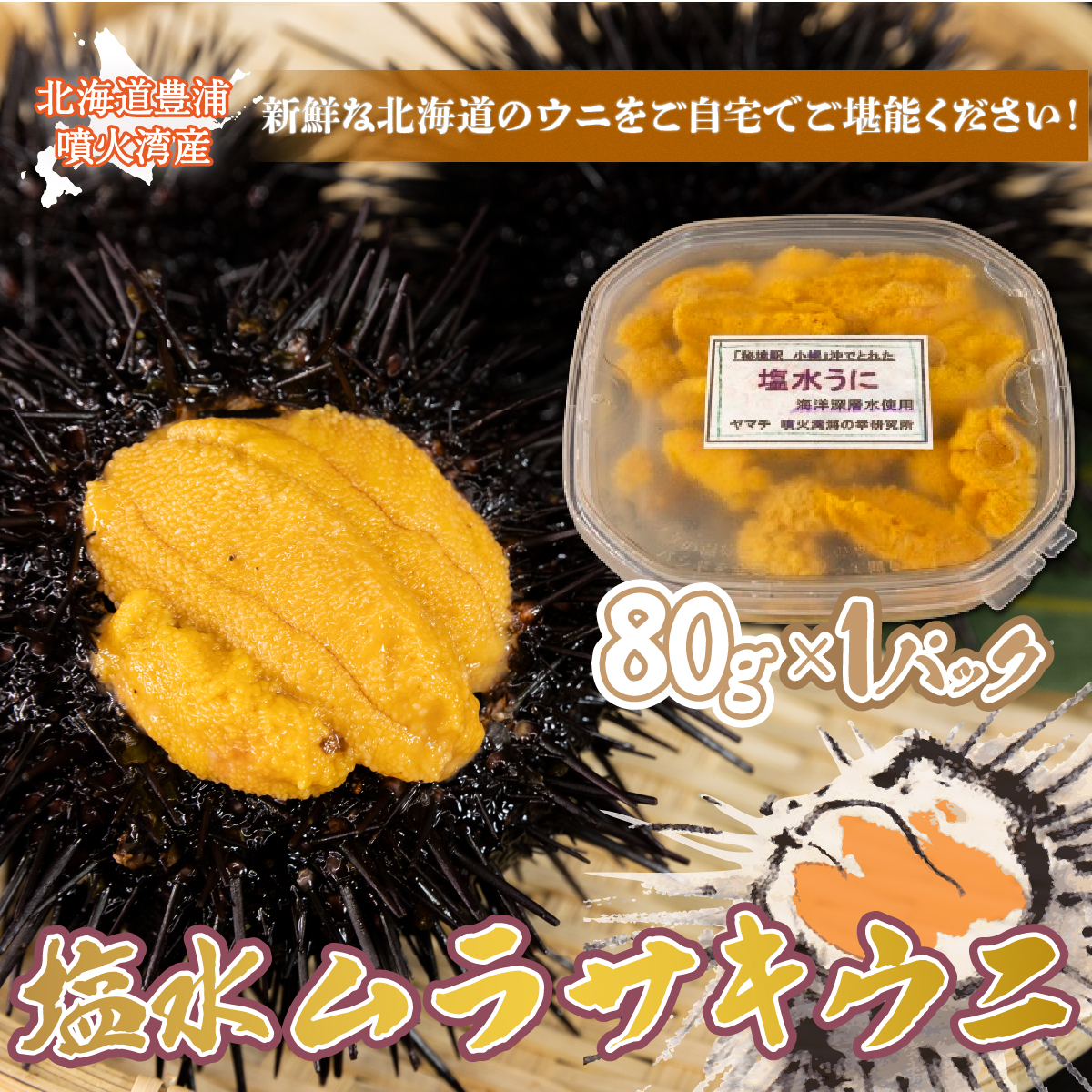 【令和8年度発送先行予約】うに 塩水 ムラサキウニ 80g 北海道 豊浦 噴火湾 雲丹【配送不可地域:離島】 TYUR020北海道豊浦町11500魚介・海産物イカ・タコ・ウニ