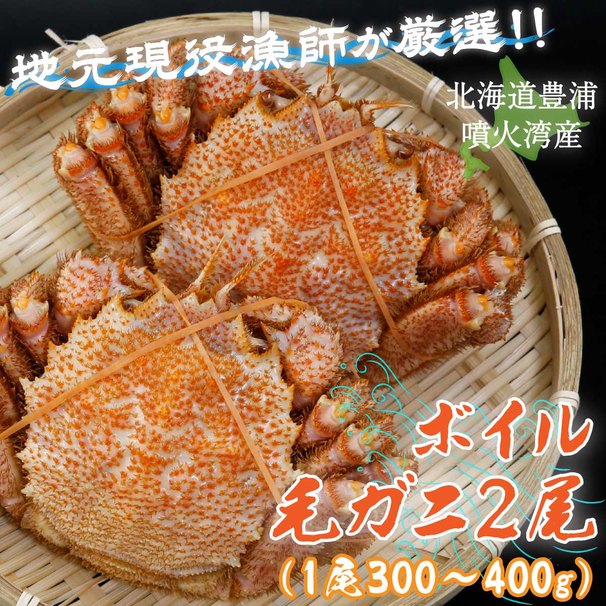 【地元現役漁師が厳選!!】ボイル・毛ガニ2尾(1尾300〜400g)北海道 豊浦 噴火湾 TYUR006北海道豊浦町23500魚介・海産物カニ