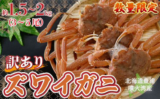 【令和8年先行受付】【訳あり】 北海道 豊浦 噴火湾 ズワイガニ 約1.5〜2kg(3〜5尾) 数量限定 TYUR041北海道豊浦町19500魚介・海産物カニ