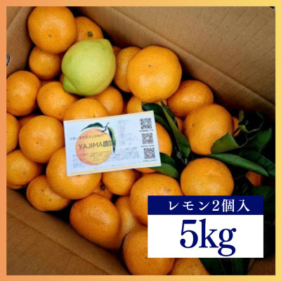 温州みかん5kgレモン入り★ 甘味と酸味のバランスが良く、濃厚な香りが特徴です【先行受付】【1531515】神奈川県真鶴町10000果物・フルーツみかん・柑橘類