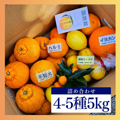 lC̕smΓ!݂FX4-55kgG߂̊ky߂lߍ킹Boxystzy1531520z_ސ쌧^ߒ13000ʕEt[c݂Ek