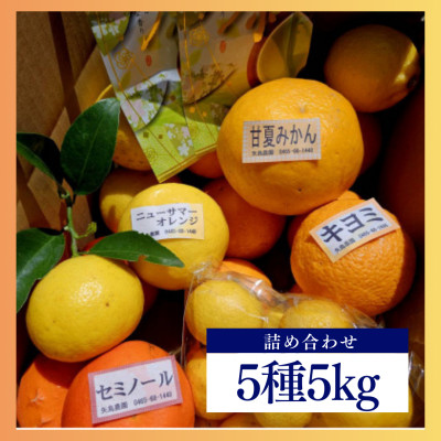 新茶とみかん季節の柑橘詰め合わせ5種5kg一箱でいろんな味が楽しめる農家直送みかんBox【先行受付】【1617064】神奈川県真鶴町16000果物・フルーツみかん・柑橘類