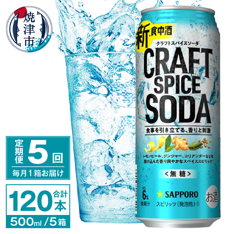 T0078-1705 【定期便5回】サッポロ クラフトスパイスソーダ 500ml×24本静岡県焼津市85000酒・アルコールその他 酒・アルコール