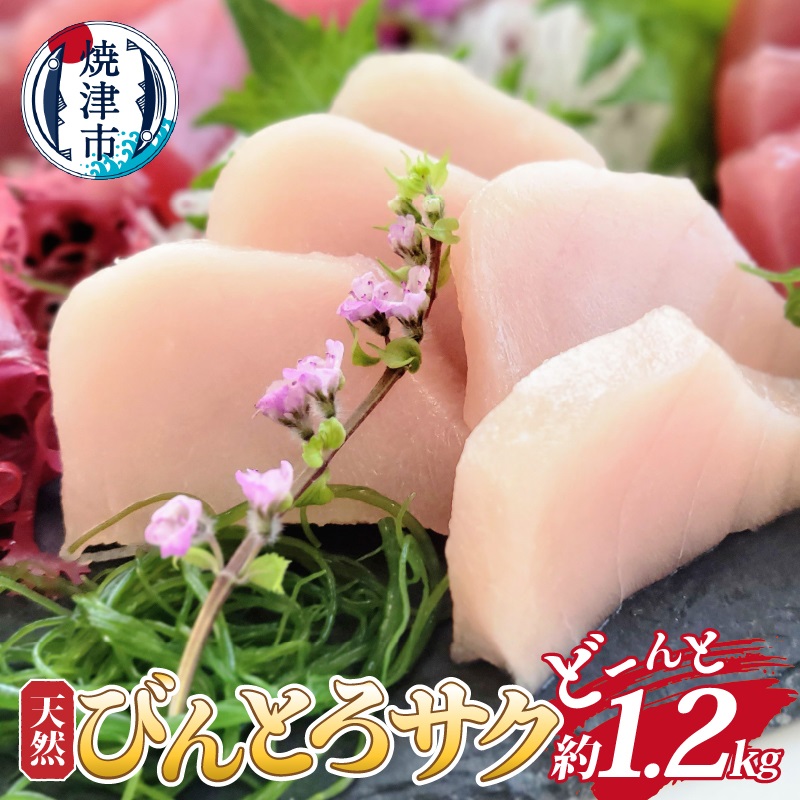 a10-1048 天然びんとろサク 約1.2kg業務用静岡県焼津市10000魚介・海産物その他 魚介・海産物