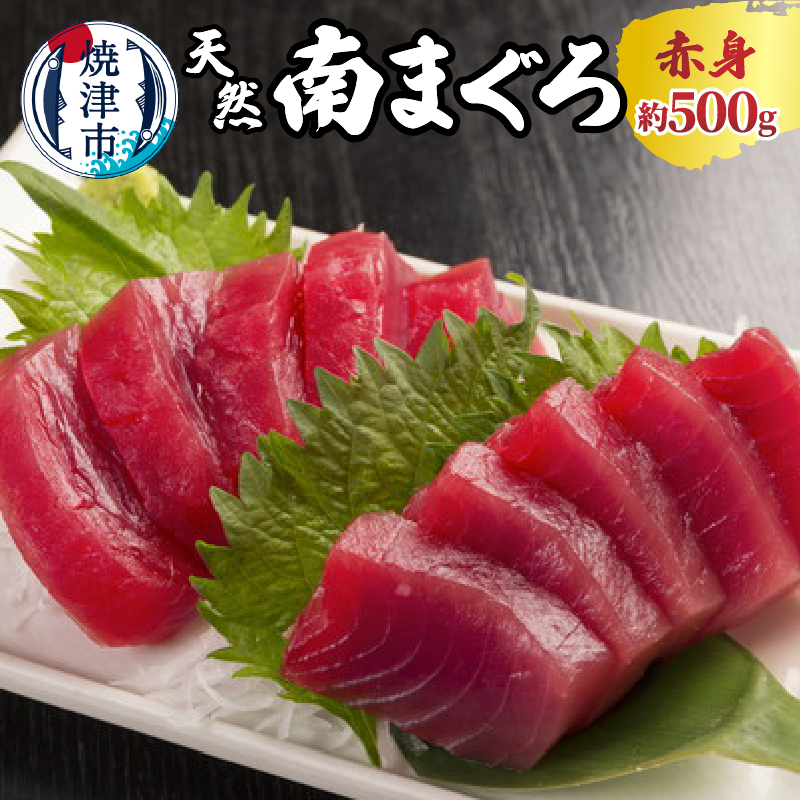 a10-244 焼津 天然 南 まぐろ 赤身静岡県焼津市10000魚介・海産物