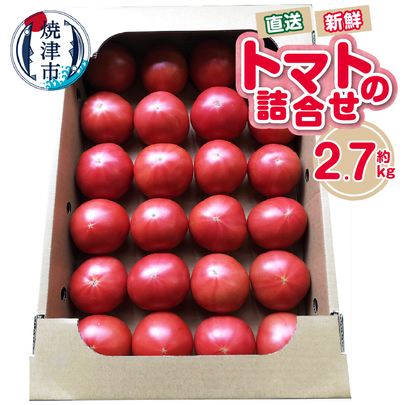 a11-120 トマト 詰合せ 約2.7kg 農園 直送 新鮮 農家静岡県焼津市11000野菜・きのこトマト