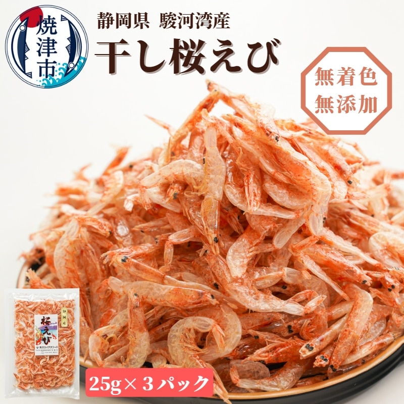 a10-681@ĒÓI 25g×3ÉĒÎs10000ECYGr