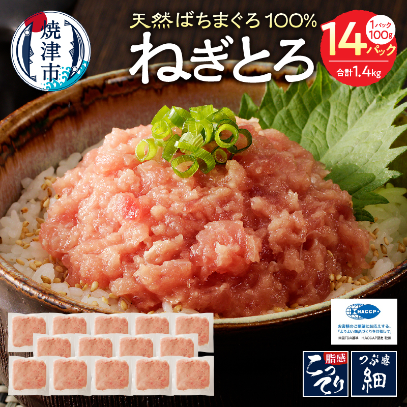 a12-169 焼津の天然まぐろたたき 鉢100%ねぎとろ F7静岡県焼津市12000魚介・海産物その他 魚介・海産物
