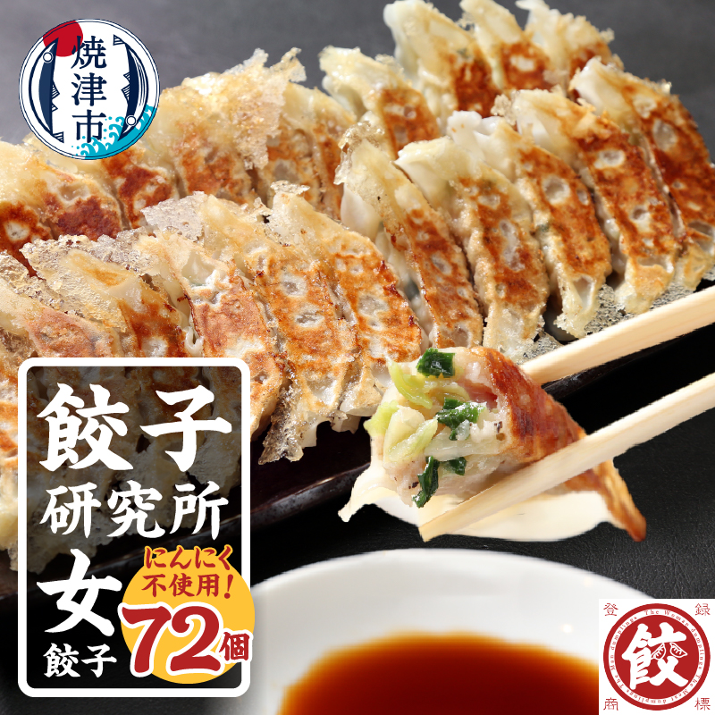 a11-147 餃子研究所 女餃子×6パック静岡県焼津市11000鍋セット・総菜・加工食品総菜