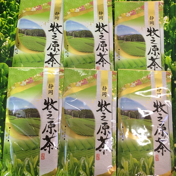 a12-029 牧之原茶6本セット静岡県焼津市12000お茶・飲料お茶