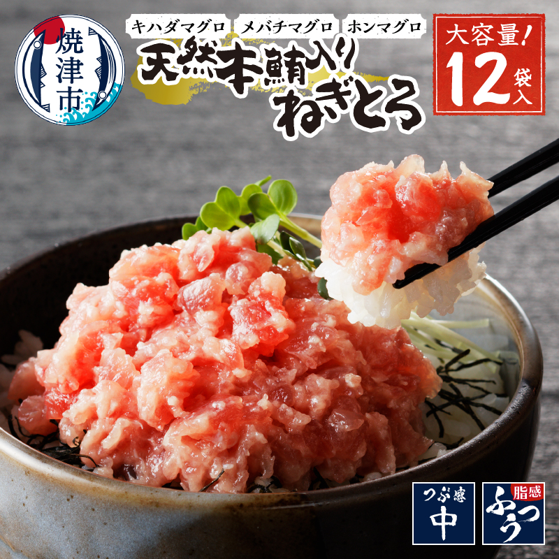 a12-200 天然本鮪入りねぎとろ【80g×12パック】静岡県焼津市12000魚介・海産物その他 魚介・海産物