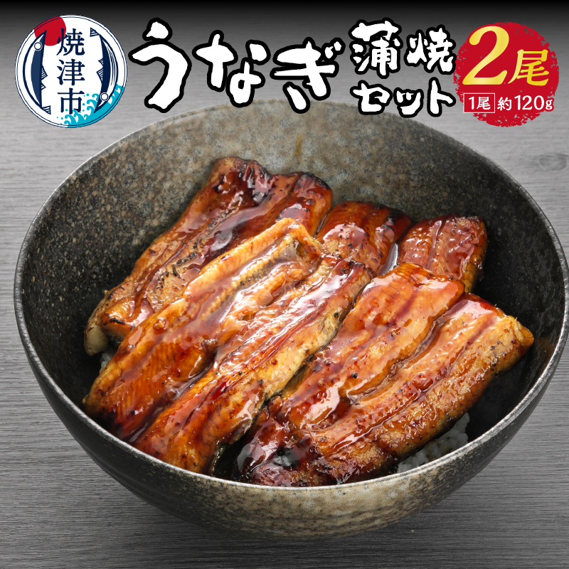 a15-435 うなぎ 蒲焼 セット 約120g×2尾 海鮮うなぎ専門店 銀鮮静岡県焼津市15000魚介・海産物うなぎ