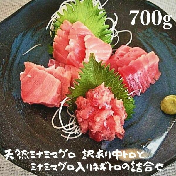 a15-475 天然南鮪 訳あり中トロとネギトロの詰合せ 700g静岡県焼津市15000魚介・海産物鮮魚