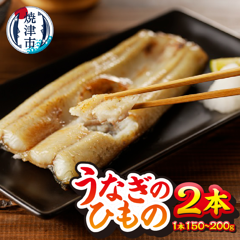 a15-647 珍しい「ウナギのひもの」【静岡産】静岡県焼津市15000魚介・海産物うなぎ