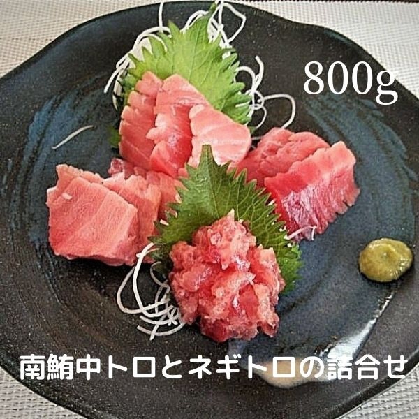a20-313 天然 南鮪 中トロ と ネギトロ の 詰合せ 約800g入静岡県焼津市20000魚介・海産物その他 魚介・海産物