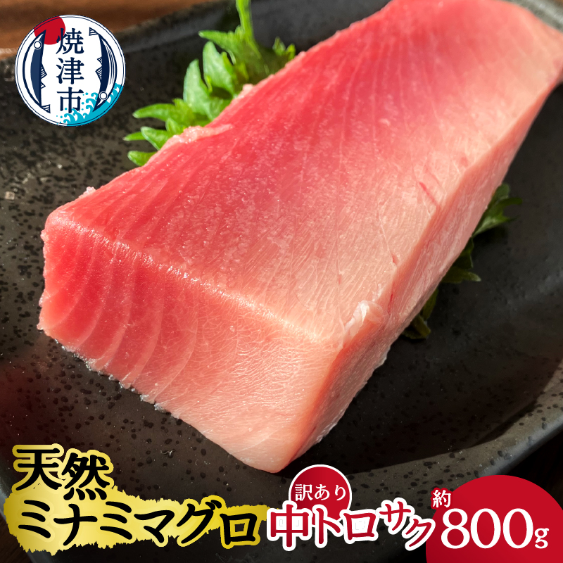 a20-327 天然ミナミマグロ 訳あり 中トロ(サク) 約800g入り静岡県焼津市20000魚介・海産物鮮魚