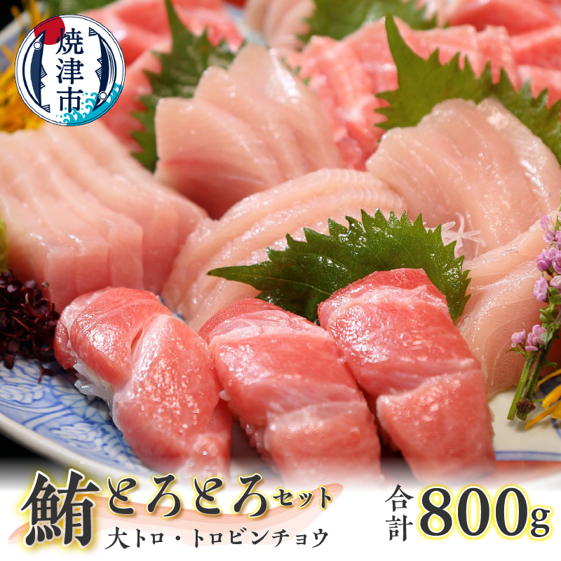 a20-371 鮪とろとろセット 約800g静岡県焼津市20000魚介・海産物その他 魚介・海産物