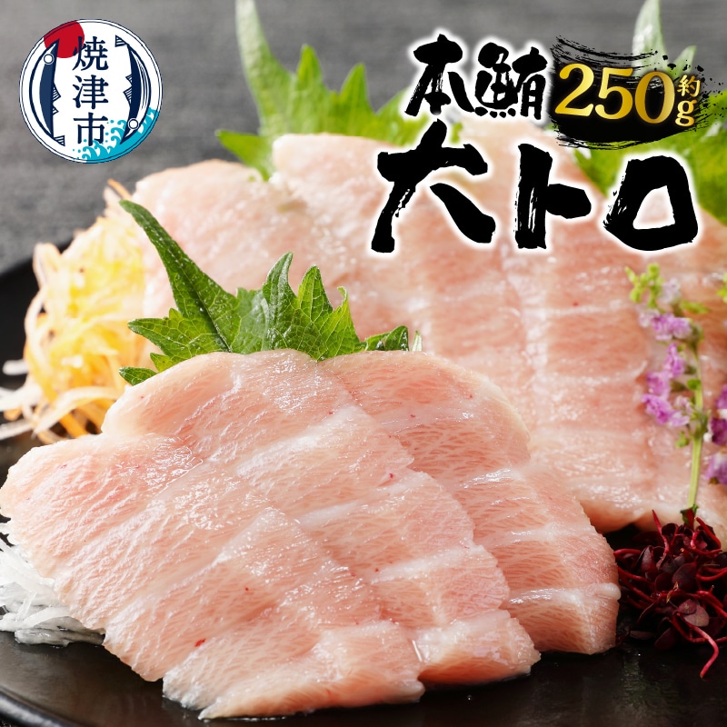 a20-373 焼津 本マグロ 大トロ 1本約250g 冷凍 F1静岡県焼津市20000魚介・海産物鮮魚