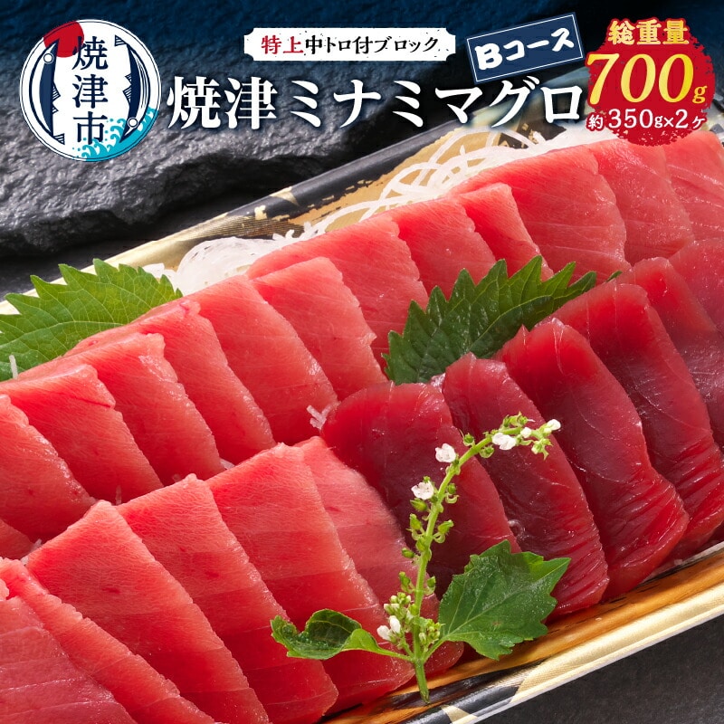 a24-038 焼津ミナミマグロBコース静岡県焼津市24000魚介・海産物鮮魚