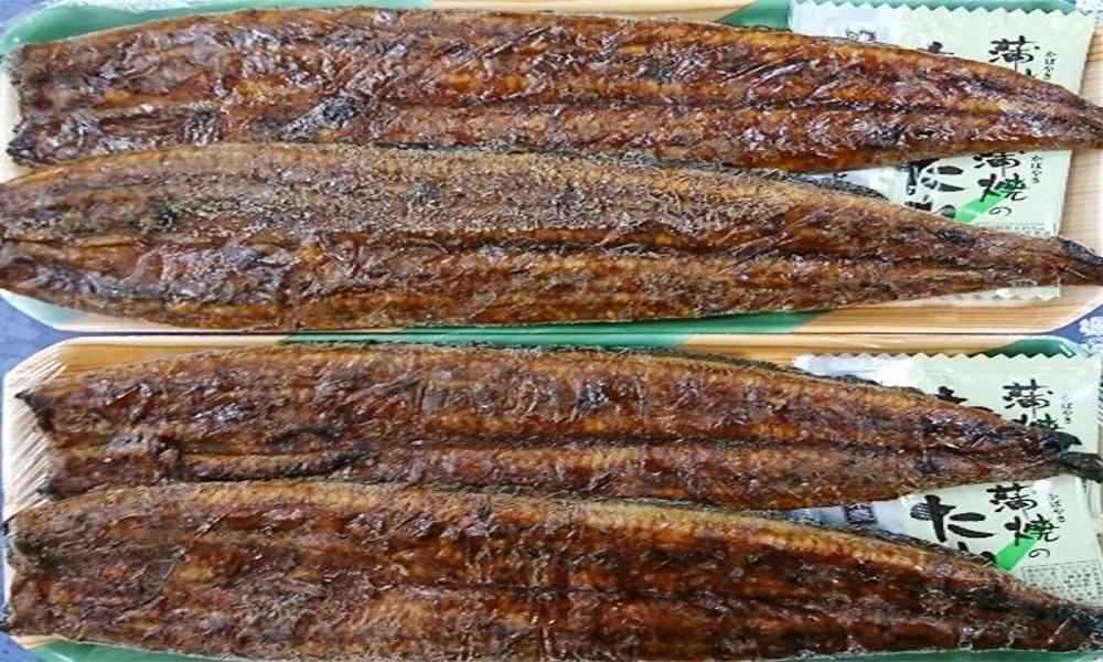 a30-182 カネト平田うなぎ長焼き4本セット約160g×4静岡県焼津市30000魚介・海産物
