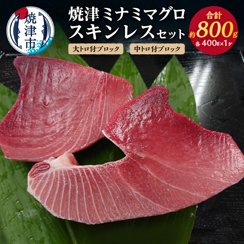 a31-011 焼津ミナミマグロスキンレスセット静岡県焼津市31000魚介・海産物