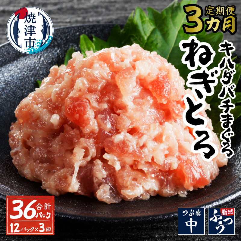 a30-287 【定期便 全3回】キハダマグロ メバチマグロ 80g×12パック静岡県焼津市30000魚介・海産物その他 魚介・海産物