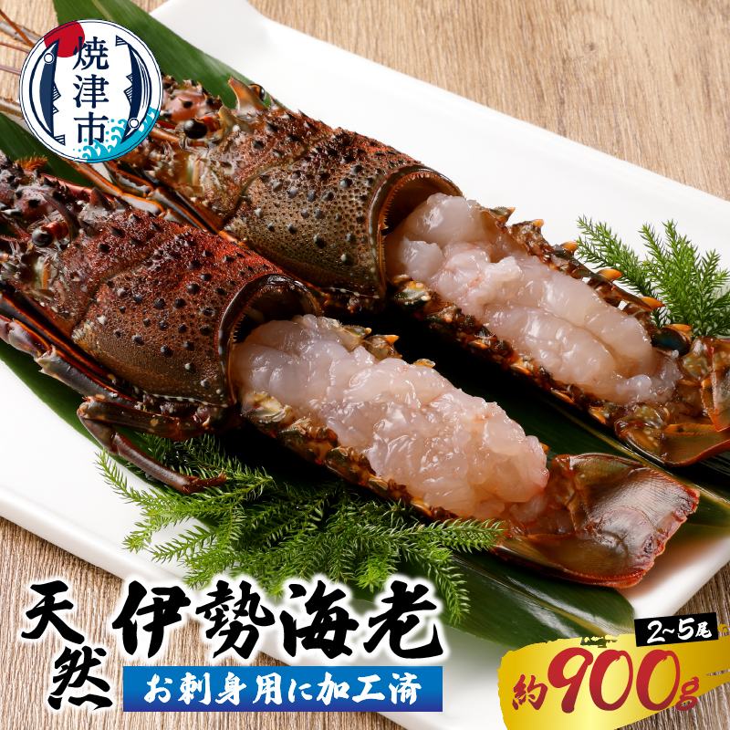 a50-094 伊勢海老 お造りセットB お刺身用に加工済静岡県焼津市50000魚介・海産物エビ