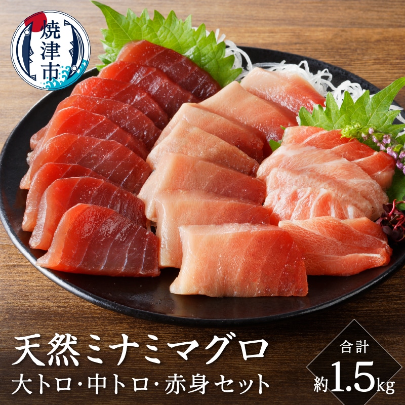 a50-129 キボシ水産 天然 鮪 南鮪 大トロ 中トロ 赤身食べ比べ 約1.5kg静岡県焼津市50000魚介・海産物