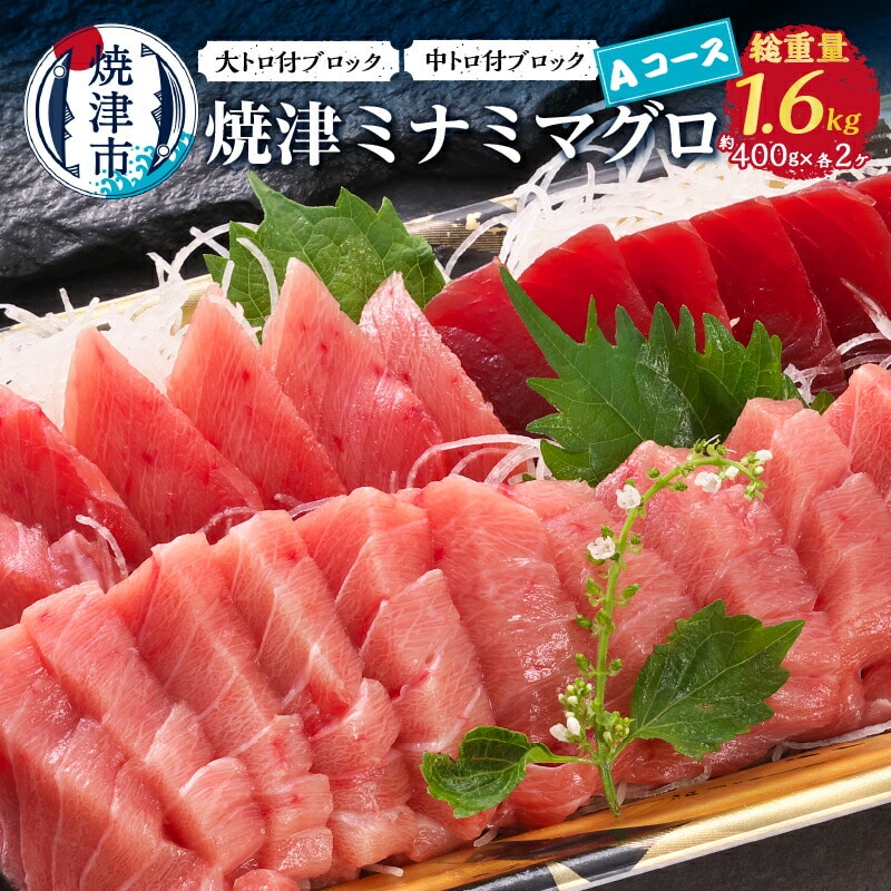 a60-018 焼津ミナミマグロAコース静岡県焼津市60000魚介・海産物その他 魚介・海産物