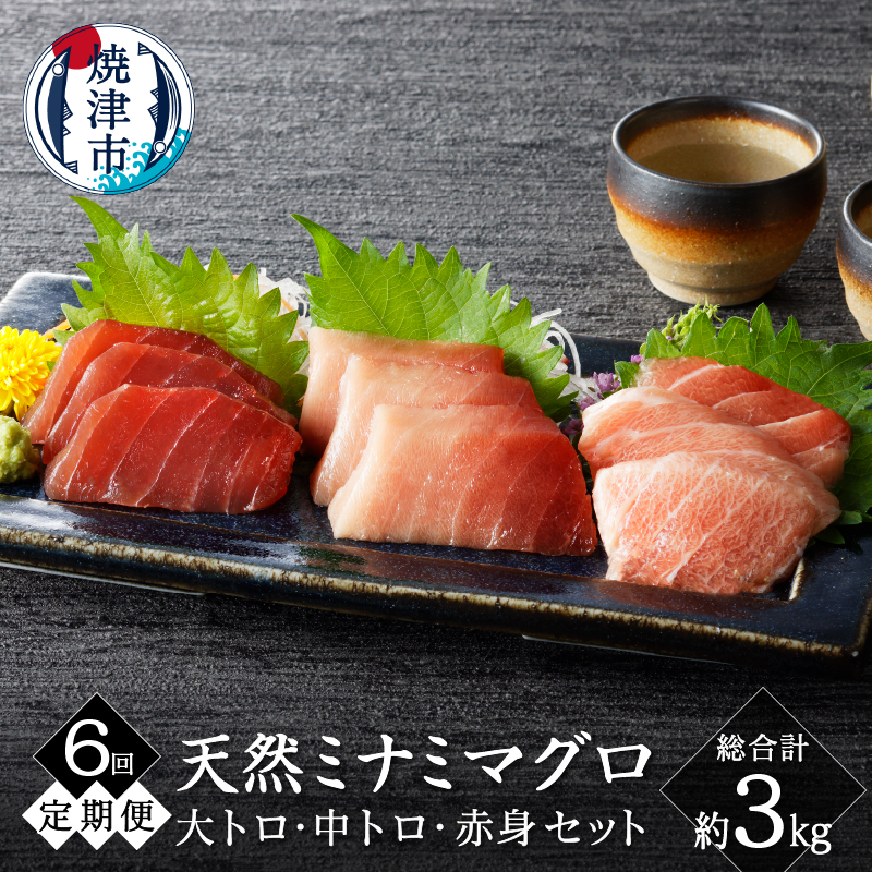 b100-065 【定期便6回】キボシ水産 天然 南鮪 大トロ 中トロ 赤身食べ比べ 約500g×6回静岡県焼津市100000魚介・海産物その他 魚介・海産物