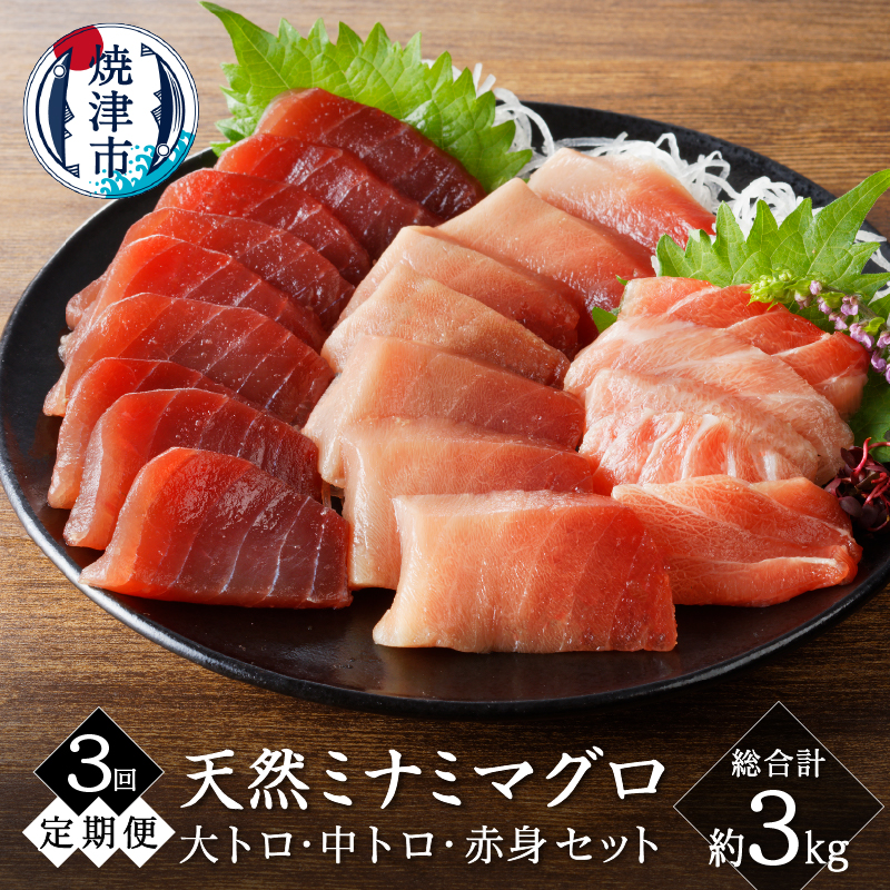 b100-066 【定期便3回】キボシ水産 天然 南鮪 大トロ 中トロ 赤身食べ比べ 約1kg×3回【定期便】静岡県焼津市100000魚介・海産物その他 魚介・海産物