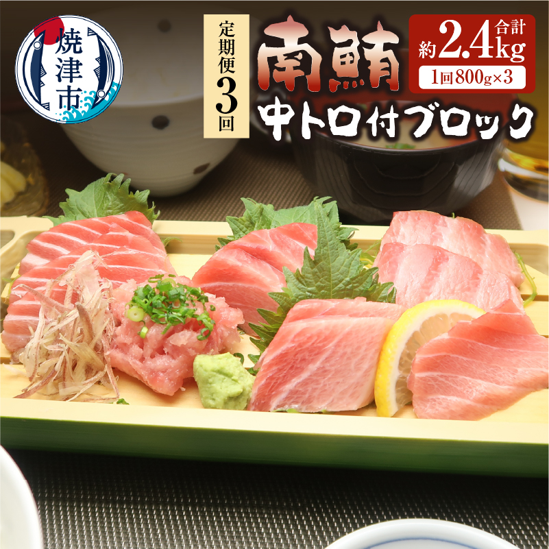 b120-012 【定期便3回】南鮪 中トロ付ブロック 8人前(約800g) ×3回【定期便】静岡県焼津市120000魚介・海産物その他 魚介・海産物