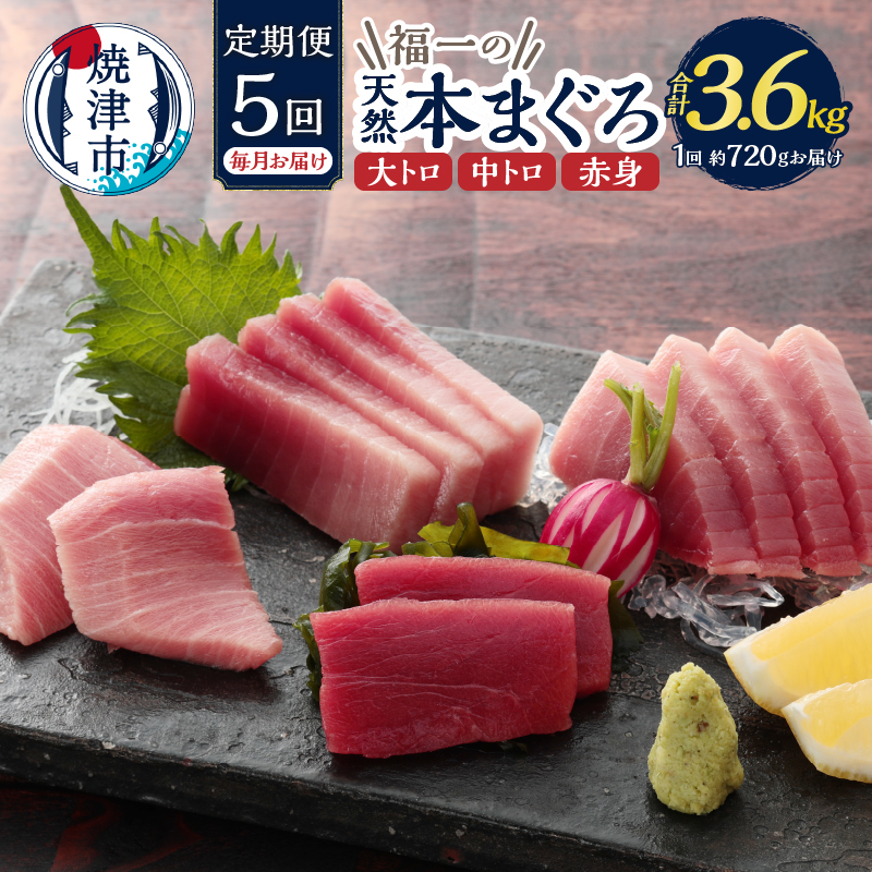 b200-036@yցz VR{܂Zbg 5͂ÉĒÎs200000ECY̑ ECY