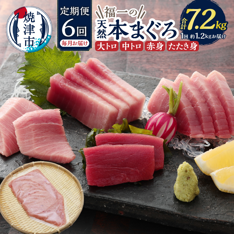 b300-015 定期便 天然本まぐろ 6回お届け静岡県焼津市300000魚介・海産物その他 魚介・海産物