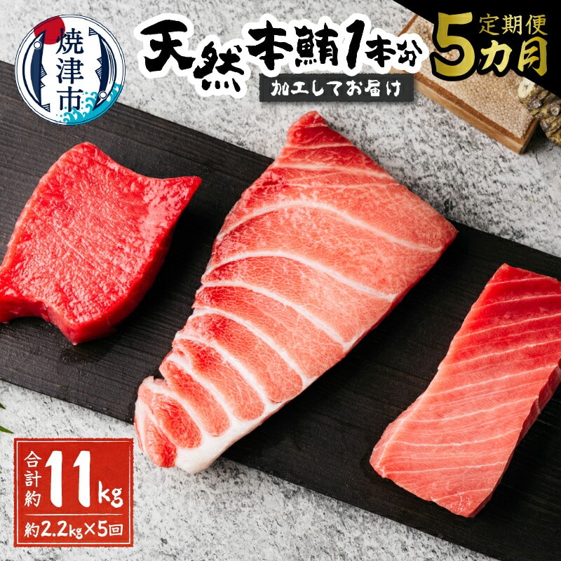 b500-011 【定期便5回】天然本鮪 一本分を加工してお届け静岡県焼津市500000魚介・海産物鮮魚