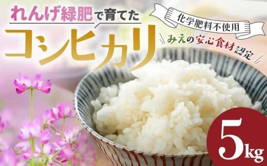コシヒカリ 5kg れんげ緑肥で育てたみえの安心食材の認定  化学肥料 不使用 みえ 安心食材認定 国産 コシヒカリ コシヒカリ コシヒカリ コシヒカリ GE-03三重県多気町14000米・パン白米