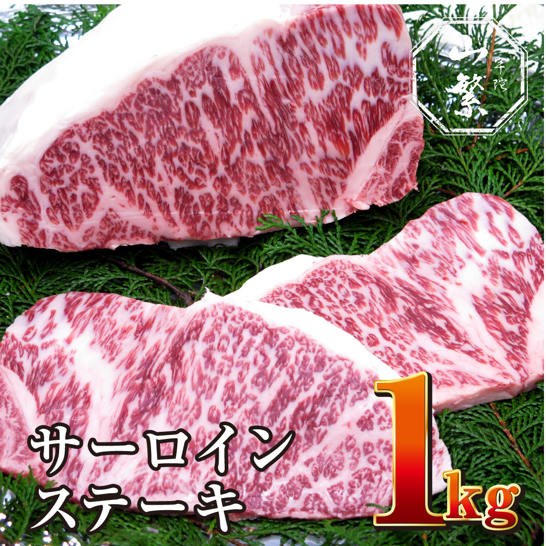 Y F Fɋ T[C Xe[L 5 v1kg Y јa `h / R ӂ邳Ɣ[  ē lC BBQ Lv t LO  O  ԗi ޗǌFɎs51000