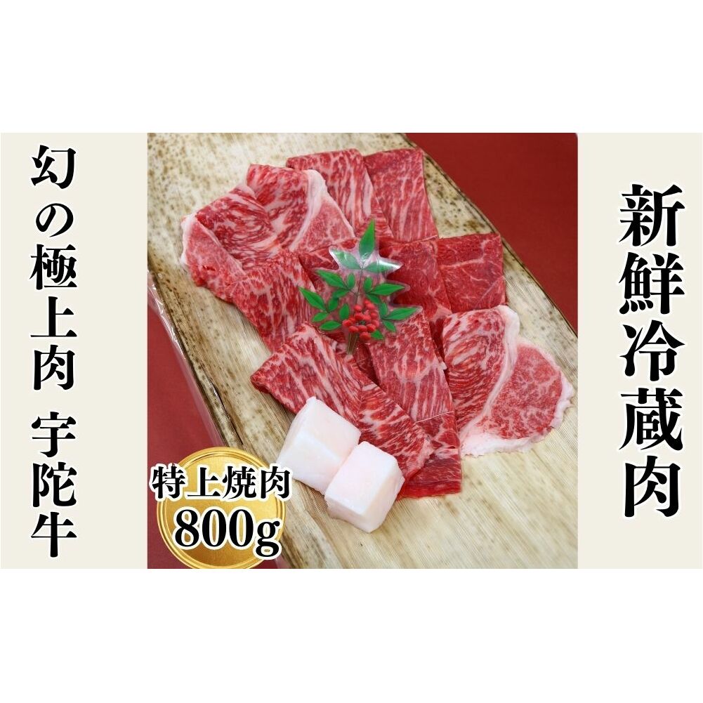 Y F Fɋ Y јa  ē 800g `h / F R ӂ邳Ɣ[  A lC o[xL[ Lv t LO  O  ԗi ޗǌFɎs23000