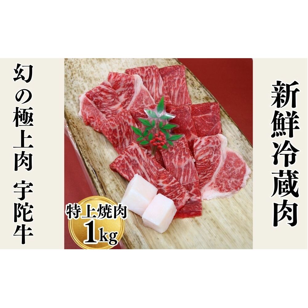 Y F Fɋ Y јa  ē 1kg `h / F R ӂ邳Ɣ[  A lC o[xL[ Lv t LO  O  ԗi ޗǌFɎs29000