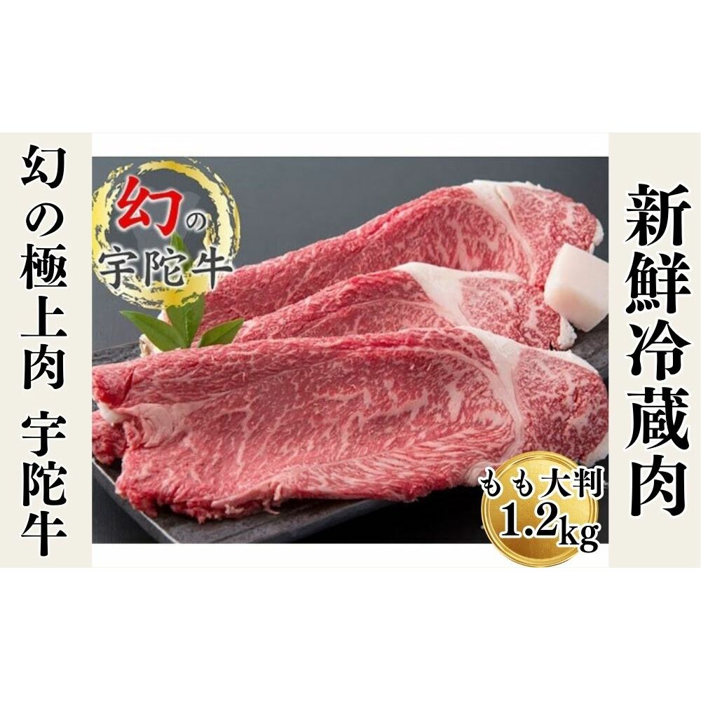 Y F Fɋ Y јa  唻 ē 1.2kg `h / F R ӂ邳Ɣ[  A lC BBQ Lv t LO  O  ԗi ޗǌFɎs36000