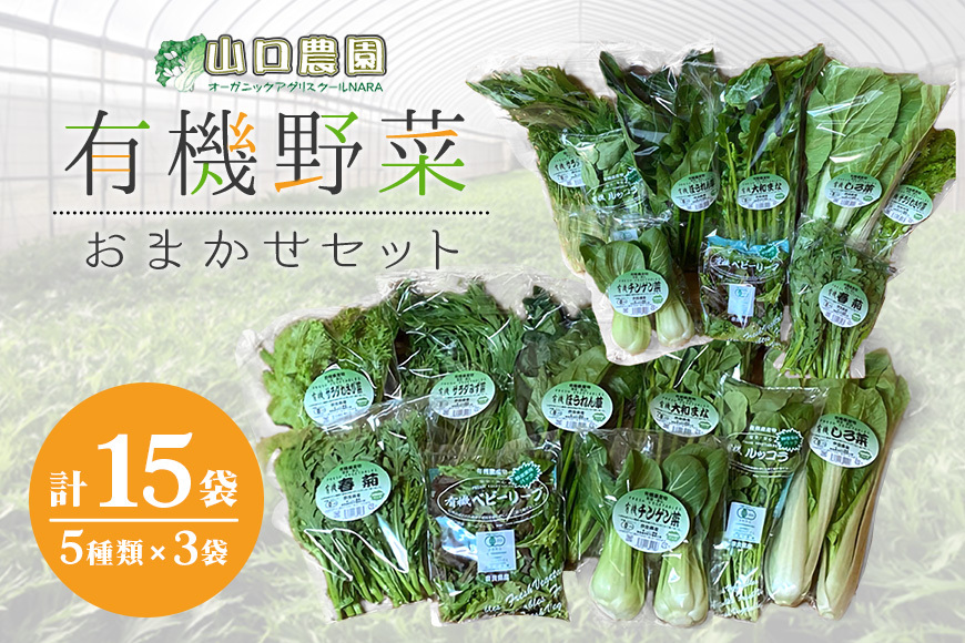 (チルド)山口農園 有機野菜 おまかせセット /ふるさと納税 山口農園  伝統野菜 オーガニック ベジタリアン 無農薬 野菜セット  農家直送  詰め合わせ 奈良県 宇陀市 奈良県宇陀市11000野