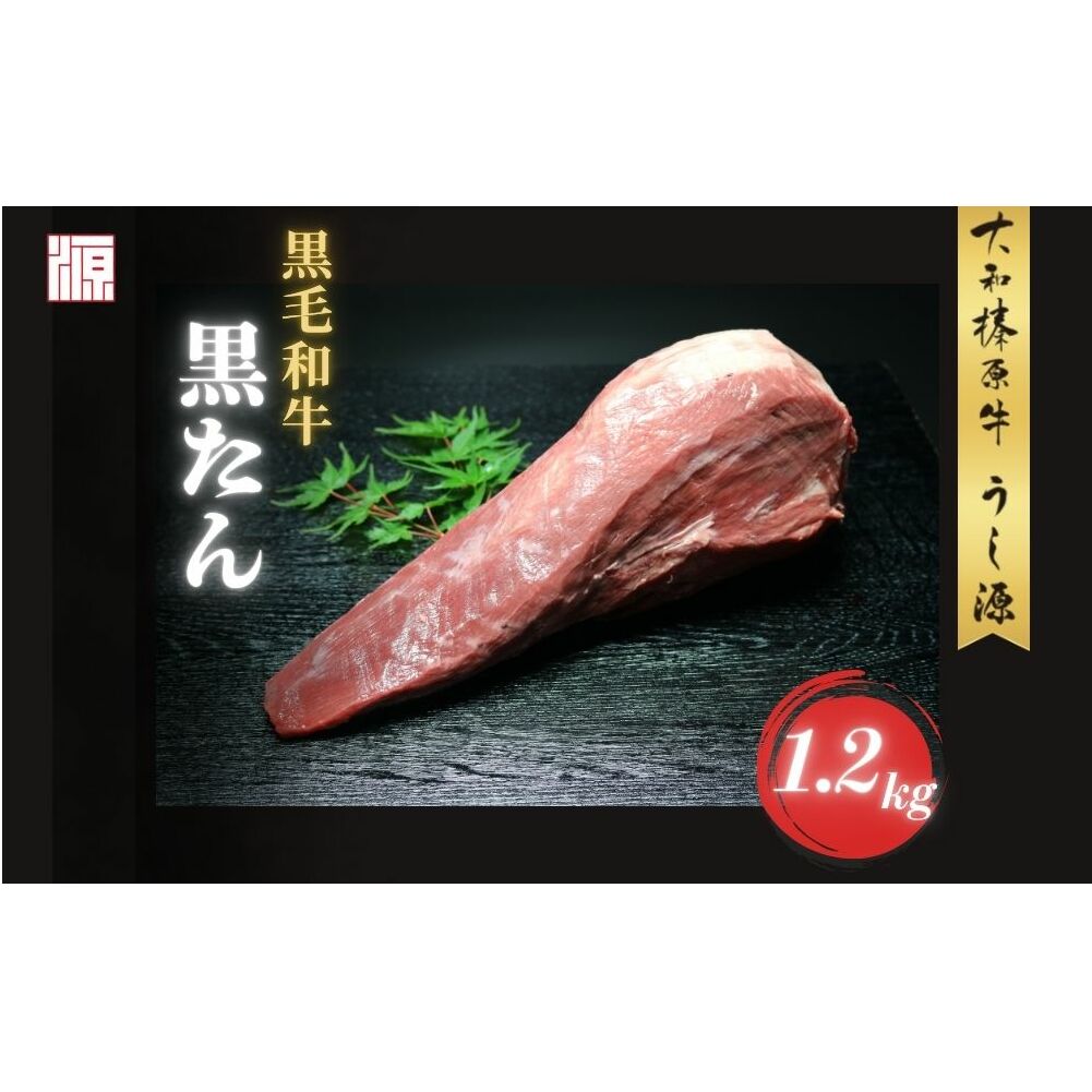 (Ⓚ) јa ^ 1{ 1.2kg^ӂ邳Ɣ[  ubN ^ Y 炩 O   Mtg A5 Lv ̓ ̓   yY ē  Lv