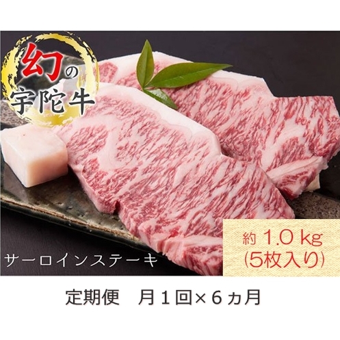 ֑S6 Y F Fɋ Y јa T[C Xe[L 5 v1kg / R ӂ邳Ɣ[   Ԃ lC t LO  O  ԗi ޗǌF