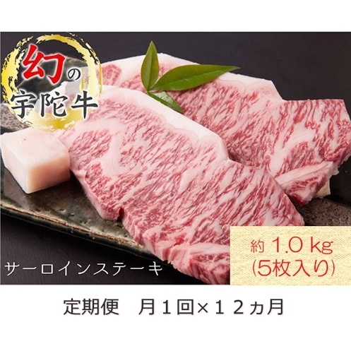 毎月定期便全12回 名産 認定肉 宇陀牛 国産 黒毛和牛 サーロイン ステーキ 5枚 計1kg / 山繁 ふるさと納税 牛肉 牛丼 しゃぶしゃぶ 人気 寄付 ランキング おすすめ グルメ 肉 返礼品 奈良県宇陀