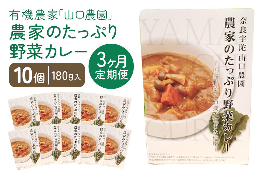 定期便 3ヶ月 農家のたっぷり野菜カレー 10個 月1回 /ふるさと納税 山口農園 有機野菜 オーガニック 伝統野菜 レトルト 詰め合わせ ギフト カレーセット スパイス 飯 キャンプお取り